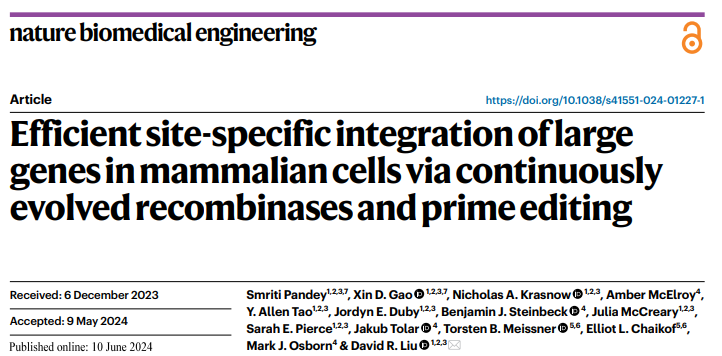 liu lab story